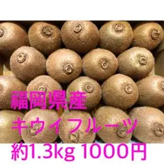 キウイフルーツ ヘイワード 福岡県産 1.3Kg+