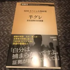 半グレ 反社会勢力の実像
