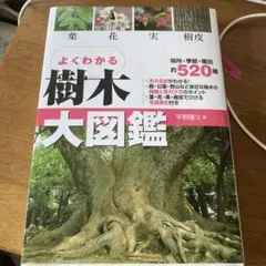 よくわかる樹木大図鑑 : 葉・花・実・樹皮