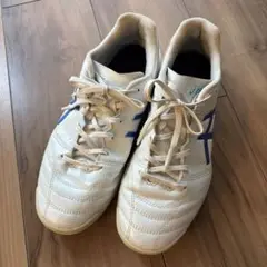 asics DS LIGHT 25cm