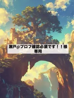 ☆専用☆