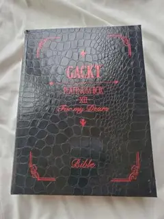 GACKT　PLATINUM BOXXⅡ　値下げ不可