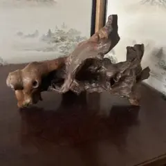 自然な形状の流木