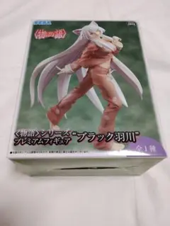 物語シリーズ　プレミアムフィギュア　ブラック羽川　全1種