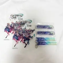 Project SEKAI COLORFUL LIVE 1st Link 特典