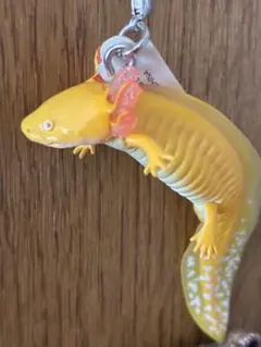 ウーパールーパー　サンショウウオ　ネイチャーテクニカラー　キーホルダー　いきもん