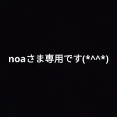 羊毛フェルト　noaさま専用です