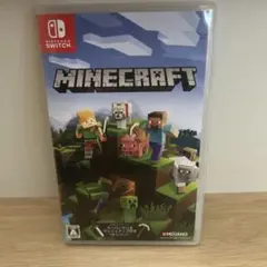 Minecraft Nintendo Switch版