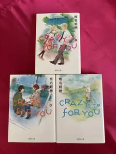 CRAZY FOR YOU 全3巻セット　文庫本