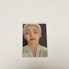 SEVENTEEN セブチ エスクプス トレカ
