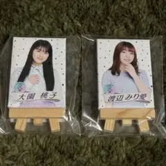 乃木坂46 大園桃子　渡辺みりあい　個別ミニキャンバス