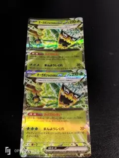 ポケカ　オーガポンみどりのめんex RR 2枚セット