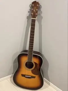 更に値引き‼️美品‼️島村楽器のJames J-300D 弦ダダリオ4つ付き