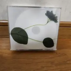 今井美樹 ベストアルバムCD『IMAI,MIKI from 1986』