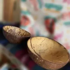 ココナッツシェル ボウル 2個セット