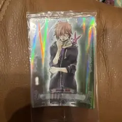 ディーグレイマンキャラクターカード ホログラム仕様