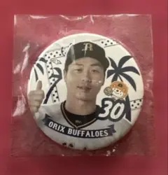 オリックスバファローズ　廣岡大志選手　ぼんち揚カンバッジ