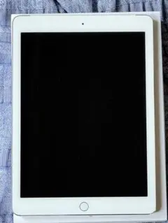 iPad Air 2 16GB iPadOS 15.8.4