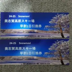 ハ*シ様 奥志賀高原スキー場 早割リフト1日券 2024-25 志賀高原スキー場共通リフト券 シーズンパス大人1名