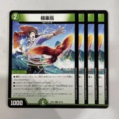 138244 極楽鳥