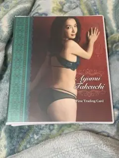 Item thumbnail for item ef13c5b8-29d8-4280-b42f-411d3002e11e