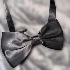 Item thumbnail for item 8cf017c6-77bf-4a12-8098-247ae5c680dd