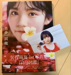 AKB48 - 矢作萌夏 1st 写真集 自分図鑑 2冊 直筆サイン入り ＋未開封新品本＋おまけ 矢作萌夏 1st 写真集 自分図鑑 2冊 直筆サイン入り ＋未開封新品