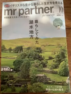 mr partner ミスターパートナー