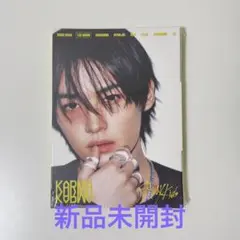 straykids karma アコーディオン リノ 新品未開封
