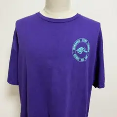 Minneapolis テラピンズ Tシャツ／ディスクスポーツ ギルダン J18