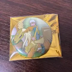 デジモンアドベンチャー02 缶バッジ 高石タケル