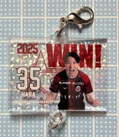 コンサドーレ Winning連結チャーム