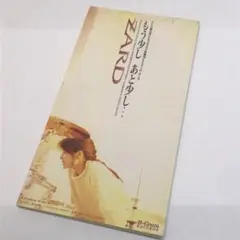 【当選品・非売品】 ZARD 坂井泉 ＋ 小西康陽 レコード LP 当選品・非売品】 ZARD 坂井泉 ＋ 小西康陽 レコード LP 邦楽