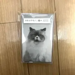 カネコアヤノ 燦々 ひとりでに カセットテープ