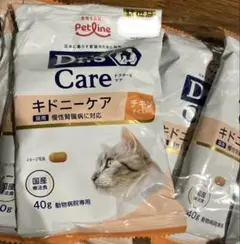 Item thumbnail for item 90d2acc1-5e8a-46e1-9744-ca97e8e94cc7