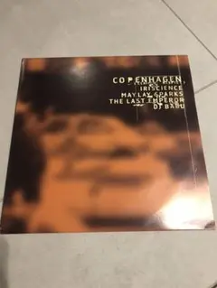 BOULEVARD CONNECTION COPENHAGEN DJ BABU