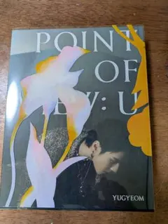 POINT OF VIEW:U YUGYEOM
