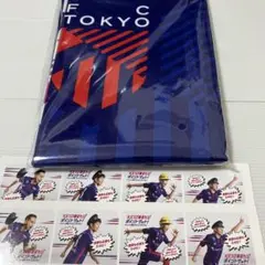 【観戦特典】FC東京京王電鉄　オリジナルレジャーシート✖️記念ステッカー２枚