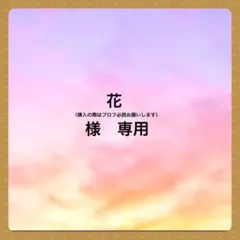 花（購入の際はプロフ必読お願いします）様 リクエスト 3点 まとめ商品