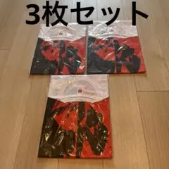 鬼剣舞　Tシャツ フリーサイズ　3枚セット