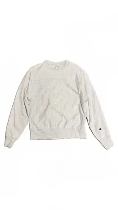 Champion reverse weave