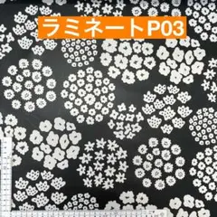 ラミネート　50センチ 花　黒地