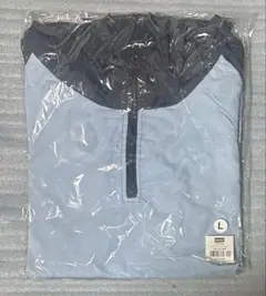 Item thumbnail for item 3aebec0c-168b-4eda-b725-e0592ba01331