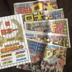 祝岡田阪神38年ぶり日本一　2023年11月6日発行　関西スポーツ新聞5紙セット