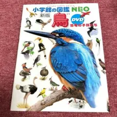 【美品】小学館の図鑑NEO 新版「鳥」★期間限定価格 8月末まで★