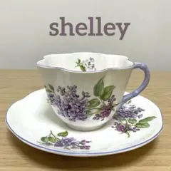 Item thumbnail for item 388fd38f-2aeb-4608-ad56-3721f65e2aad