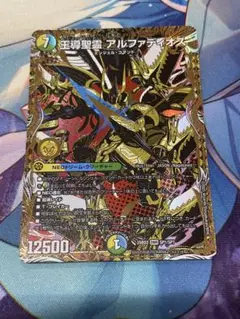 王導聖霊アルファディオス　シークレット