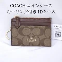 Item thumbnail for item 40a43522-20a4-4800-b0e3-1610903d93ba