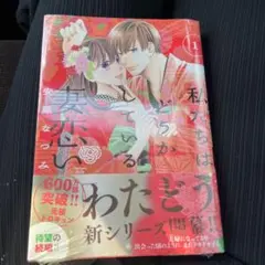 新品・未開封　私たちはどうかしている 妻恋い(1)