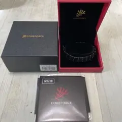 Item thumbnail for item cb332b78-c2f1-4a66-9ed1-7cf485d7dc24